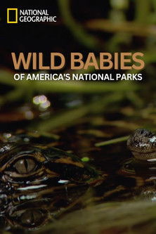 Wild Babies of America's National Parks poster