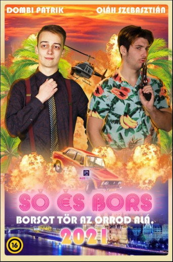 Movie poster for Só és Bors
