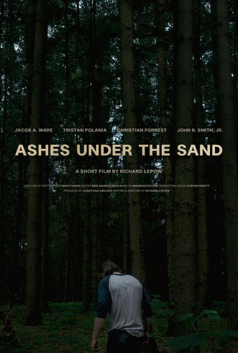 Movie poster for Ashes Under the Sand (2025)