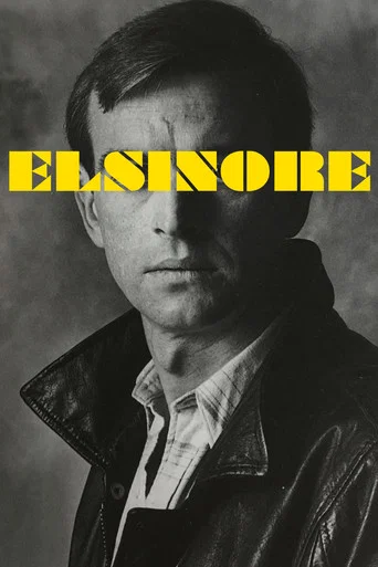 Movie poster for Elsinore