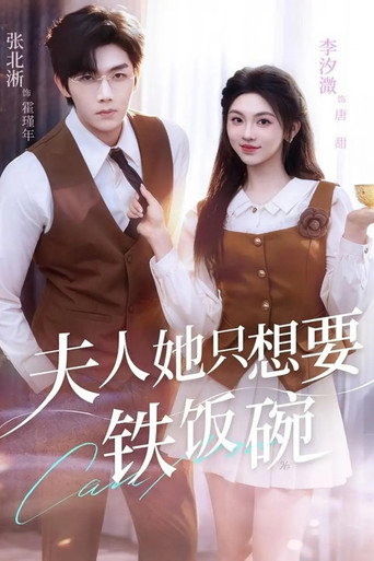 夫人她只想要铁饭碗 poster