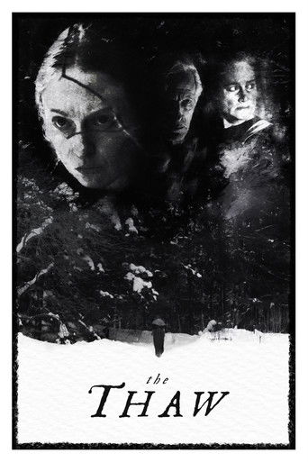 The Thaw poster