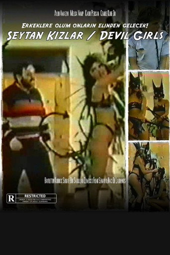 Movie poster for Devil Girls (1987)