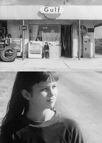 The Knight of the Rose poster