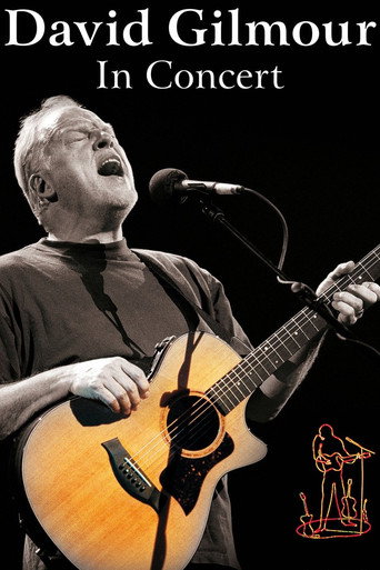 Movie poster for David Gilmour: In Concert (2002)