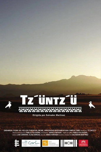 Movie poster for Tz'üntz'ü (2019)