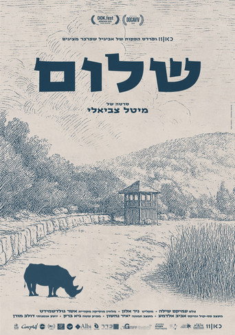 Movie poster for Shalom (2026)