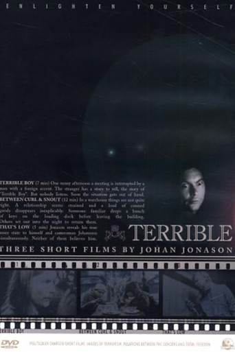 Movie poster for Terrible