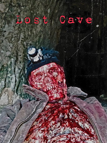 Movie poster for Lost Cave (2023)