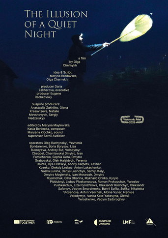Movie poster for The Illusion of a Quiet Night (2026)