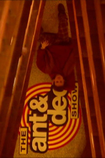 The Ant & Dec Show poster