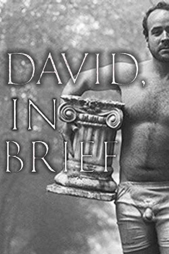 Movie poster for David, In Brief (2016)