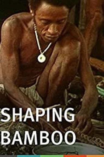 Movie poster for Shaping Bamboo (1979)