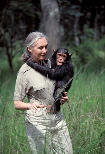 Jane Goodall: An Inside Look poster