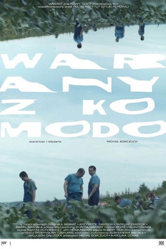 Komodo Dragons poster