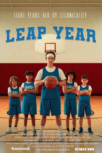 Movie poster for Leap Year
