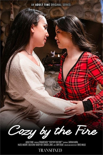 Cozy By The Fire poster
