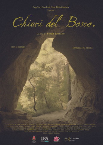 Movie poster for Chiari del Bosco