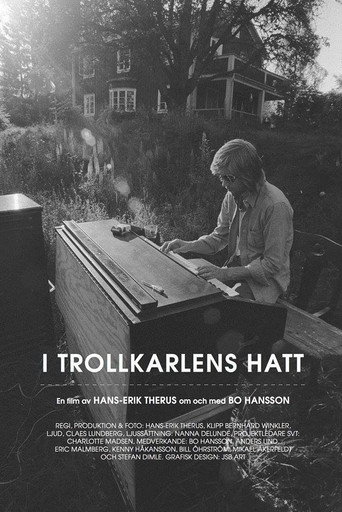 Movie poster for I Trollkarlens hatt (2015)