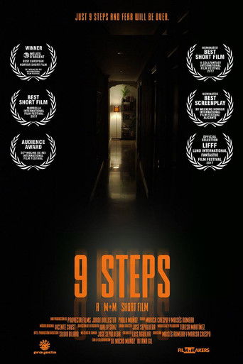 9 Steps poster