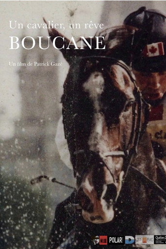 Movie poster for Un cavalier, un rêve, Boucane (2015)