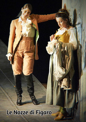 Movie poster for Le Nozze di Figaro - Wiener Staatsoper (2014)
