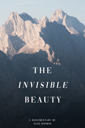 Movie poster for The Invisible Beauty (2018)