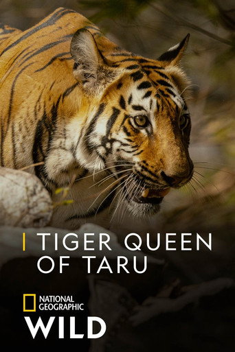 Movie poster for Tiger Queen of Taru (2021)