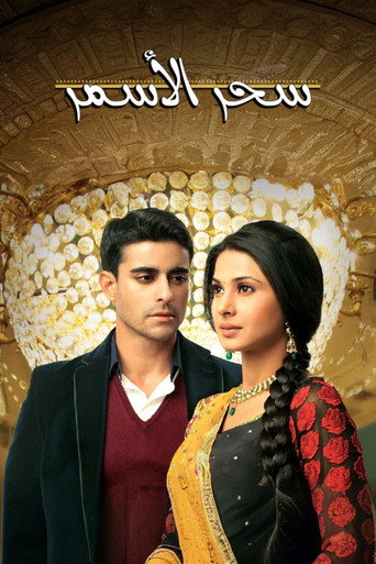 Series poster for Saraswatichandra (2013)