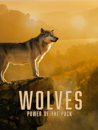 Movie poster for Wolves: Power of the Pack (2022)