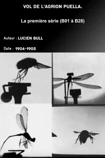 Movie poster for Series 1 (insect flights) (1905)