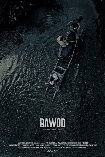 Movie poster for Bawod (2017)