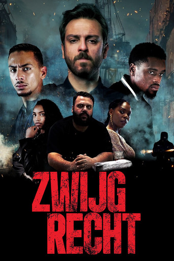 Movie poster for Zwijgrecht (2025)