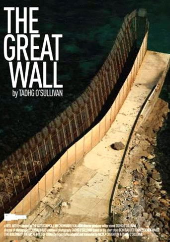 Movie poster for The Great Wall (2015)