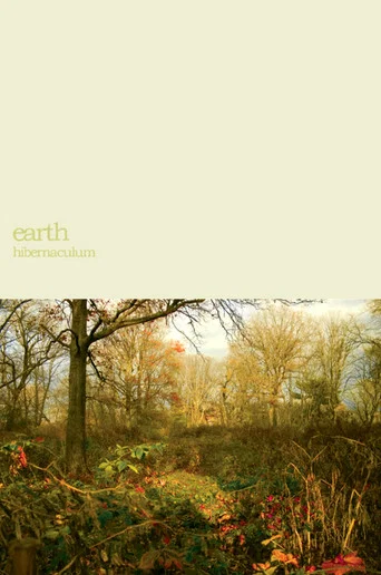 Movie poster for Earth: Within the Drone (2007)
