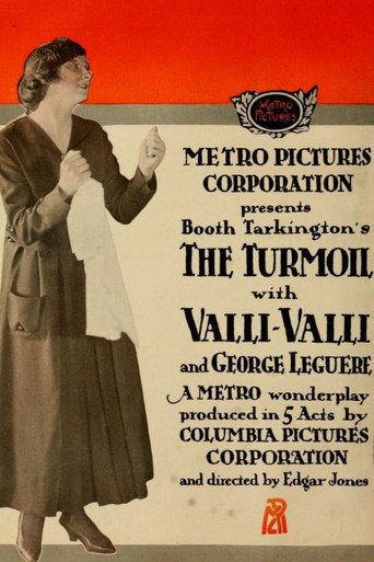 Movie poster for The Turmoil (1916)