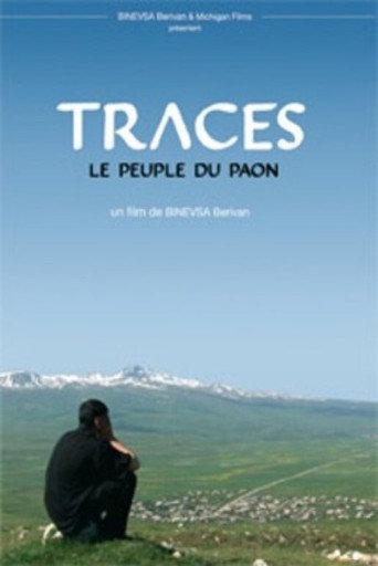 Movie poster for Traces: People of the Peacock (2016)