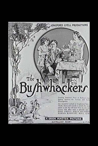 Movie poster for The Bushwackers (1925)