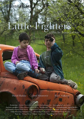 Movie poster for Little Fighters (2010)