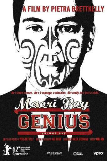 Movie poster for Maori Boy Genius (2011)