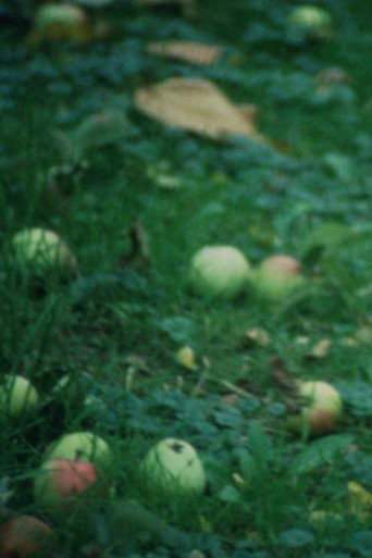 Movie poster for Apfelernte (1994)