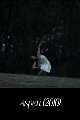 Movie poster for Aspen (2010)