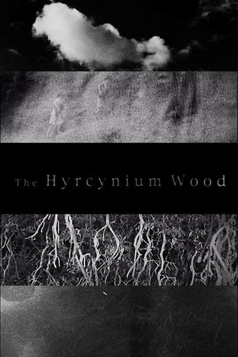 Movie poster for The Hyrcynium Wood (2005)