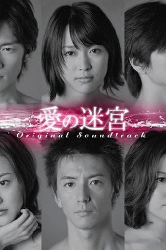 愛の迷宮 poster