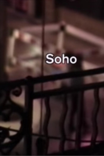 Movie poster for Soho (2005)