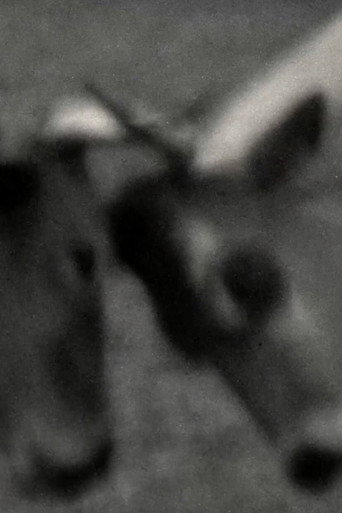 Movie poster for Videogramas #5 (2022)