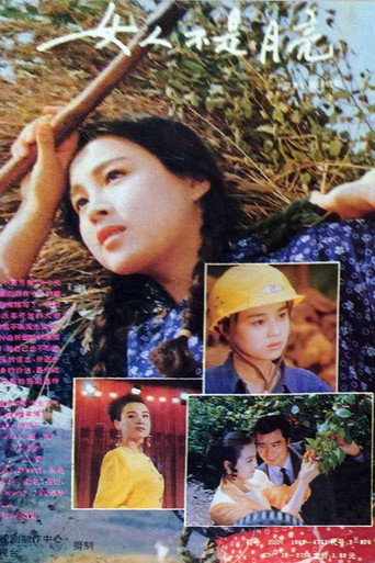 女人不是月亮 poster