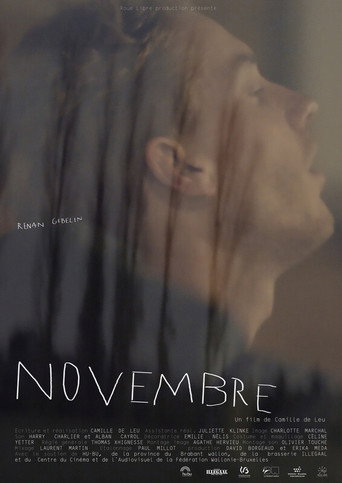 Movie poster for November (2020)