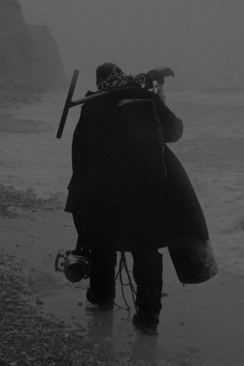 The Tide Will Bring You Home poster