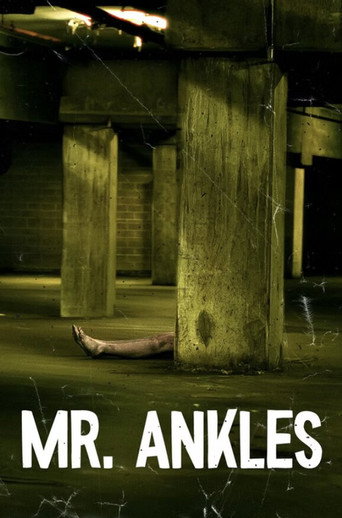 Movie poster for Mr. Ankles (2026)
